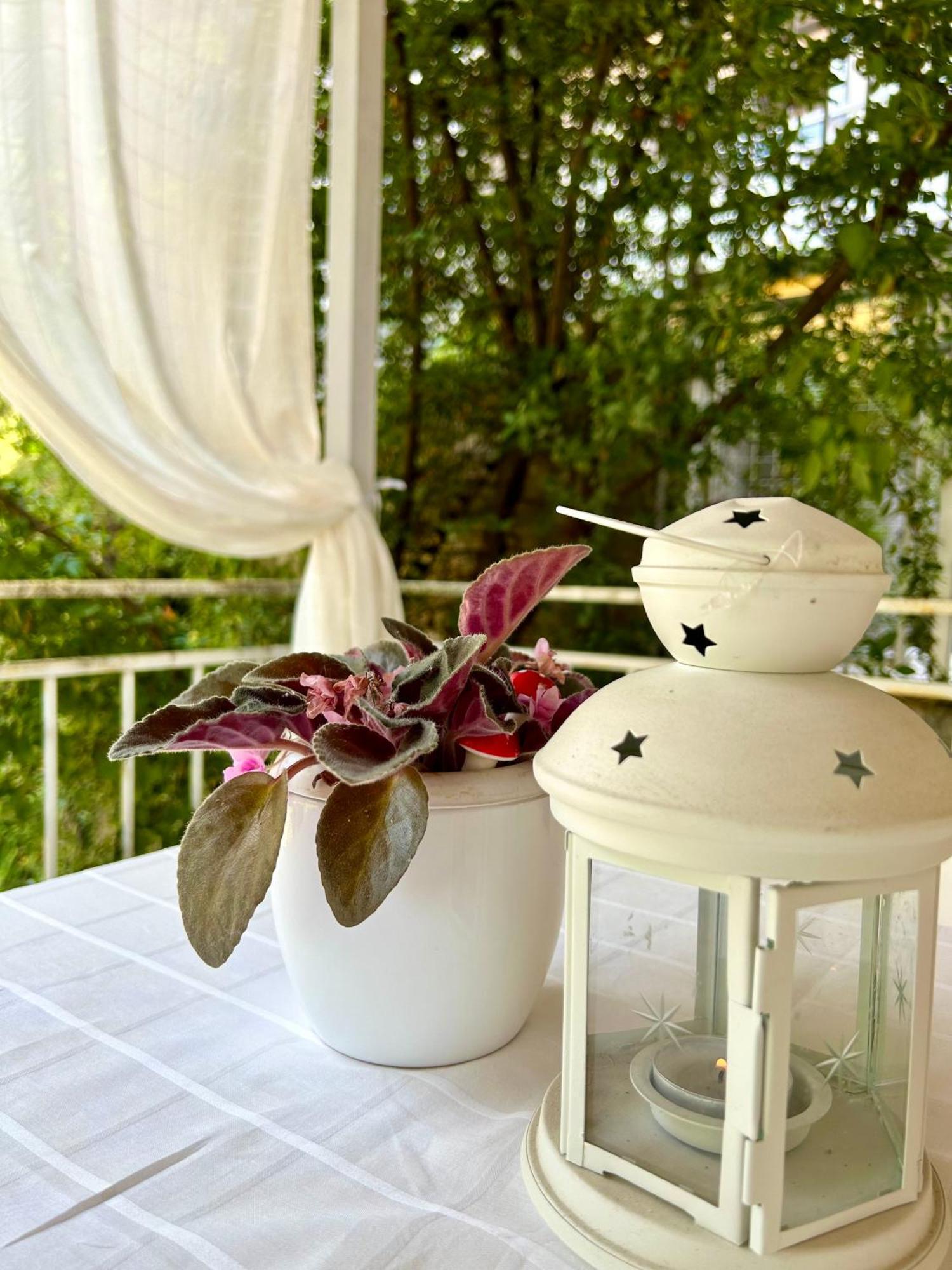 Villa Chingo Ohrid Kültér fotó